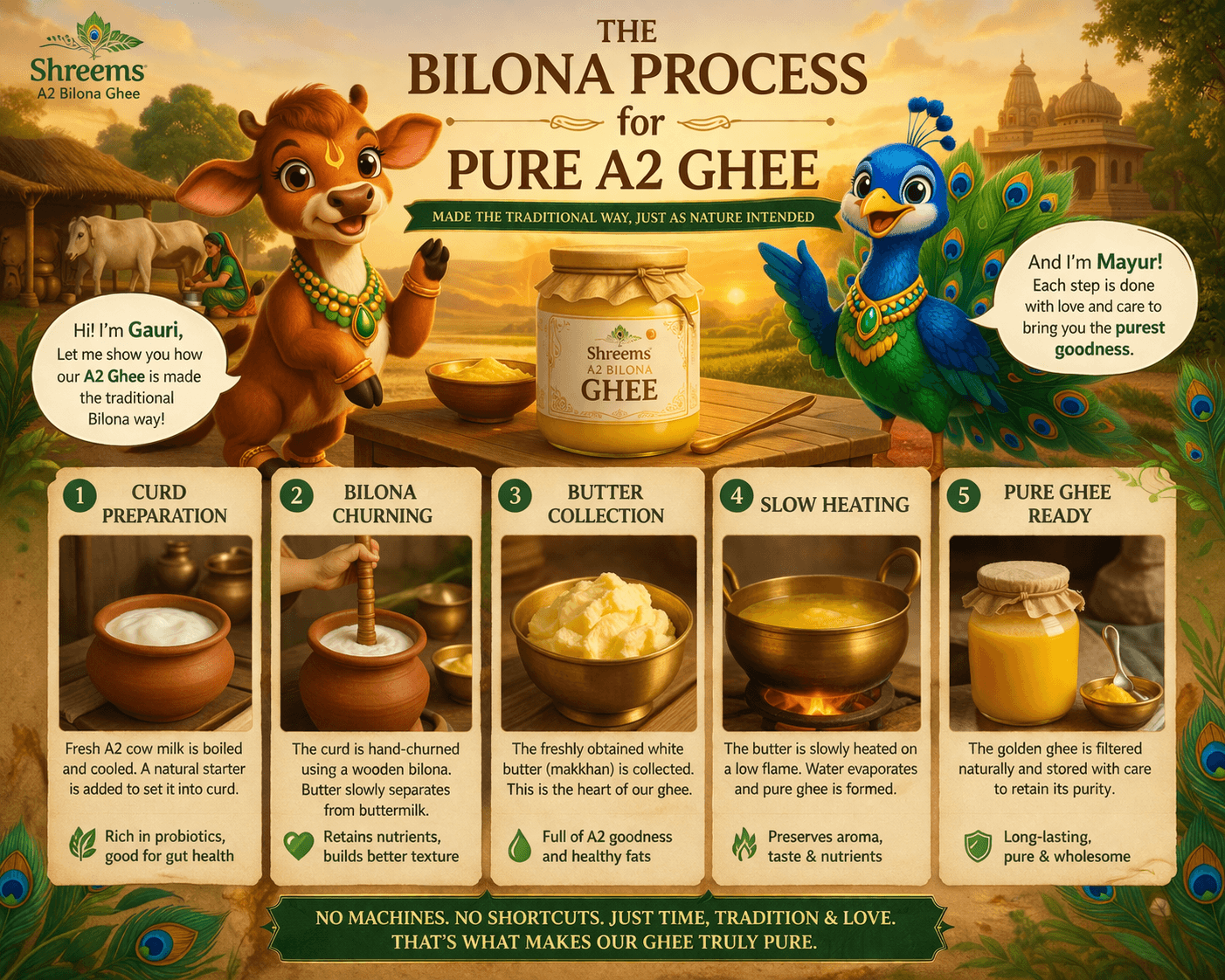 Shreem bilona ghee process with Gauri, Mayur, and the curd-to-ghee journey